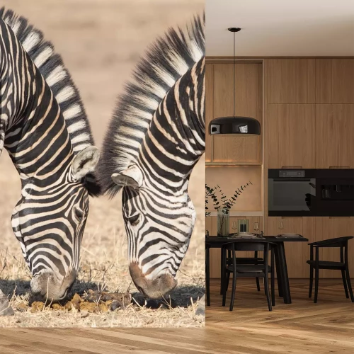 Sticker Symmetrische zebra's, Kruger park, Zuid-Afrika