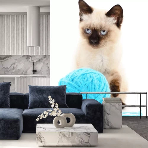 Sticker Siamese katten met een blauwe bol garen