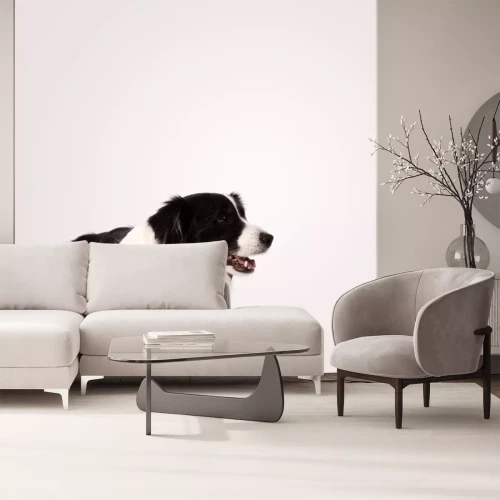 Sticker Schattig border collie met een kopie ruimte