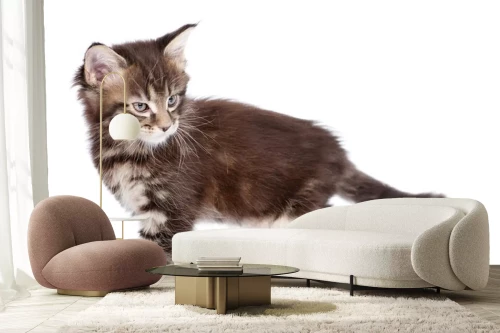 Visualisatie van het product