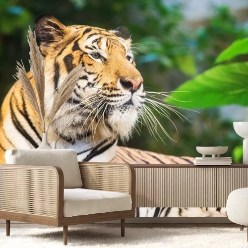 Sticker Bengaalse tijger tussen het groen