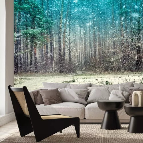 Sticker Eerste sneeuw in het dennenbos