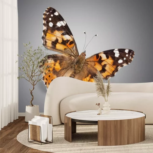 Sticker Realistische vlinder op een grijze achtergrond
