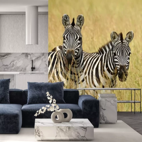 Sticker Zebra op grasland in Afrika