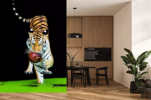 Visualisatie van het product