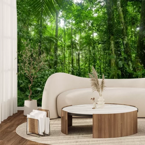 Fotobehang Groen in de jungle