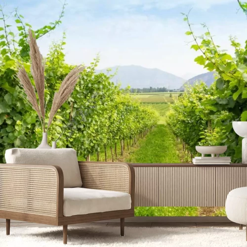 Fotobehang Pad in de wijngaard