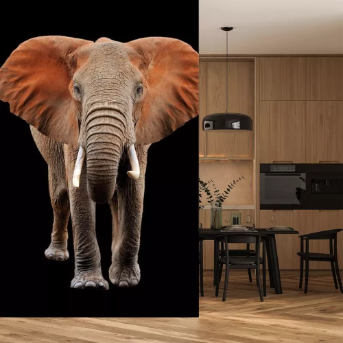 Sticker Grote olifant op een zwarte achtergrond