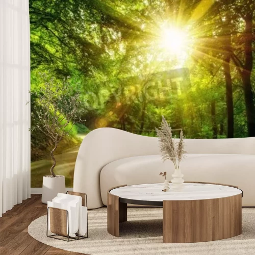 Fotobehang Zonsopgang over een weg en groene bomen