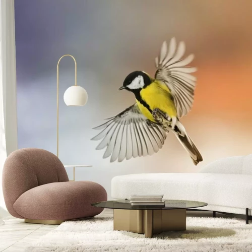 Fotobehang Een vogel met gespreide vleugels tegen de achtergrond van de ondergaande zon