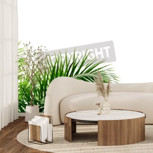 Fotobehang Palmbladeren op witte achtergrond