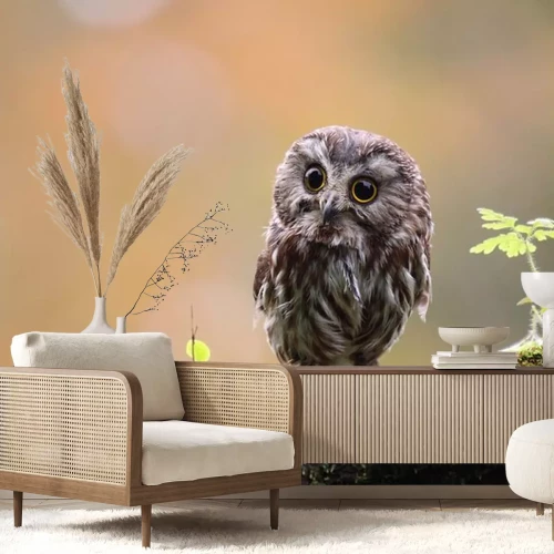 Fotobehang Uil zittend op het mos