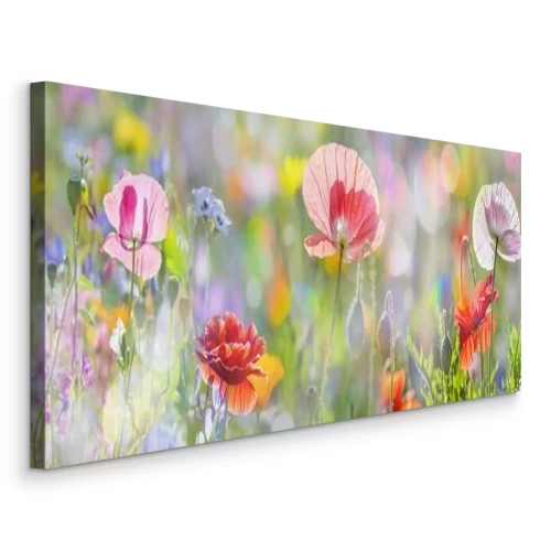 Canvas Delicate klaprozen tegen de weideachtergrond