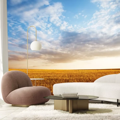 Fotobehang Lucht boven een gouden veld