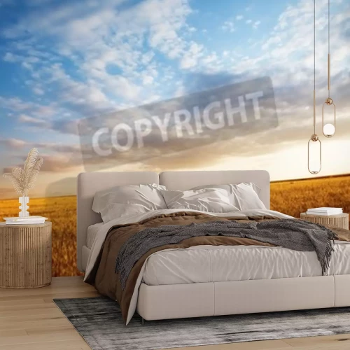 Fotobehang Lucht boven een gouden veld