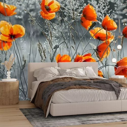 Fotobehang Rode klaprozen op een zwart-witte achtergrond