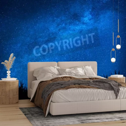 Fotobehang Gras en nachtelijke hemel met sterren