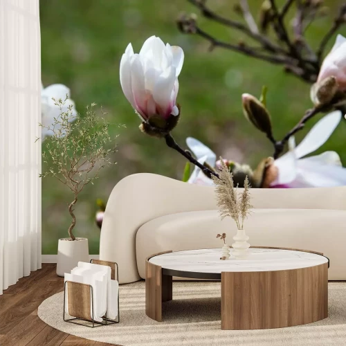 Fotobehang Witte bloemen van de magnoliaboom
