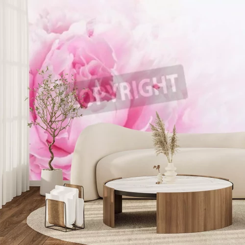 Fotobehang Roze bloemblaadjes macro