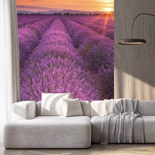 Fotobehang Lavendelplantage bij zonsondergang