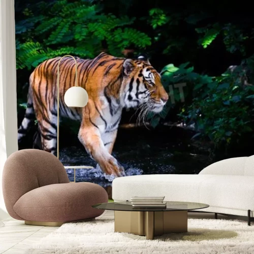 Fotobehang Tijger wadend in het water