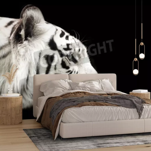 Fotobehang Bengaalse tijger op donkere achtergrond