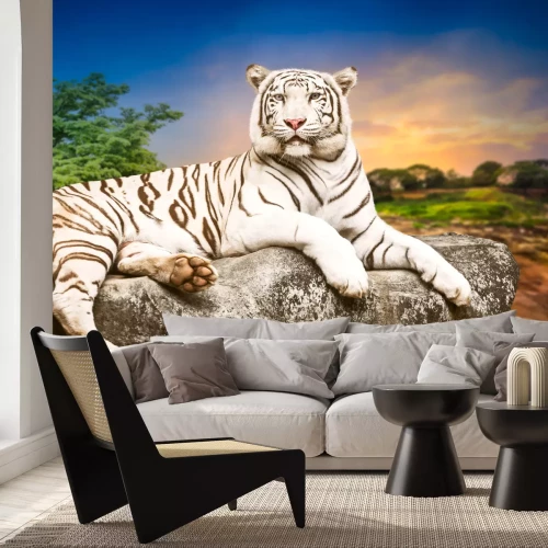 Fotobehang Witte Bengaalse tijger op een steen