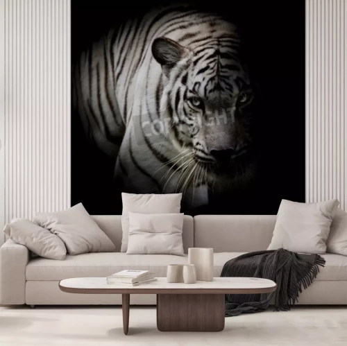 Fotobehang Witte tijger in de schaduw