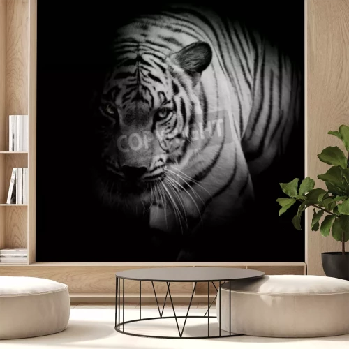 Fotobehang Zwart-wit afbeelding van een tijger