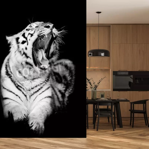 Fotobehang Zwart-witte tijger