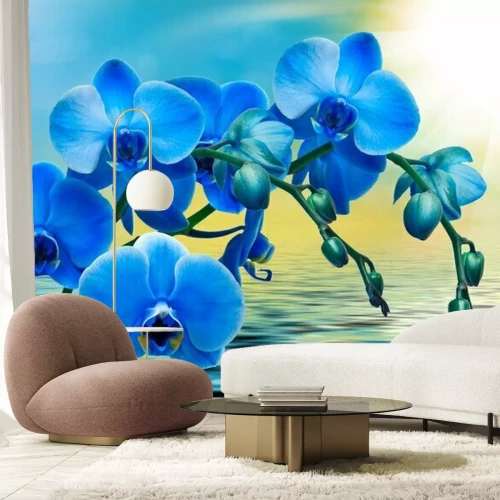 Fotobehang Blauwe orchidee op de waterachtergrond