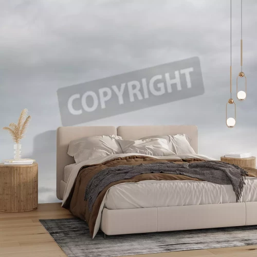 Fotobehang Grijze lucht in een mist