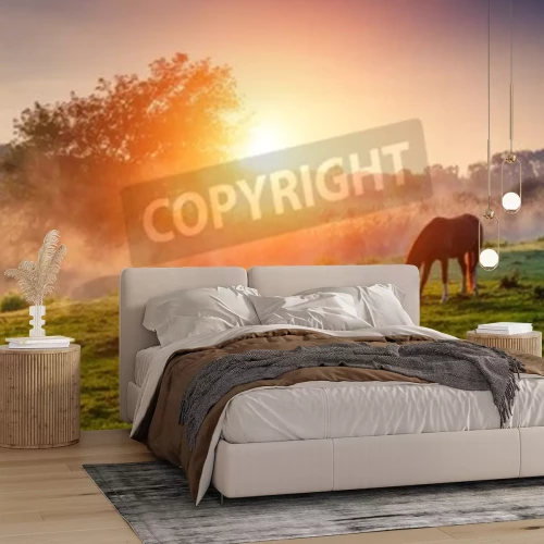 Fotobehang Zonsopgang en paarden