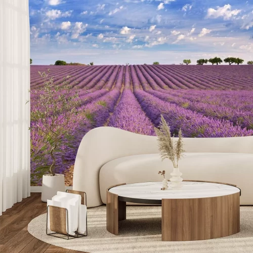 Fotobehang Lavendelvelden onder een blauwe lucht