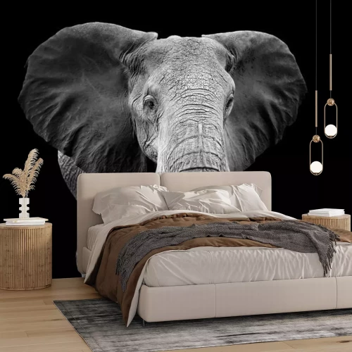 Fotobehang Zwart-wit motief met olifant