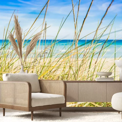 Fotobehang Landschap van gras op een zandstrand en uitzicht op de zee