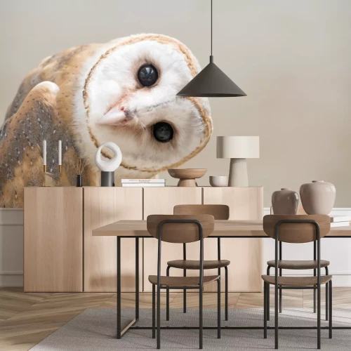 Fotobehang Uil met gedraaide kop