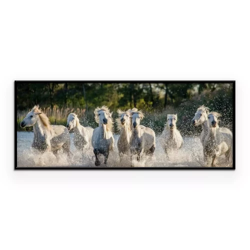 Poster Paarden galopperen in het water