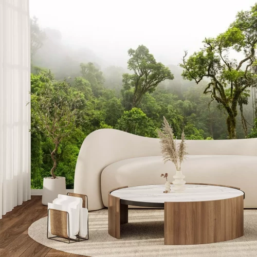 Fotobehang Magoebaskloof Natuurbos