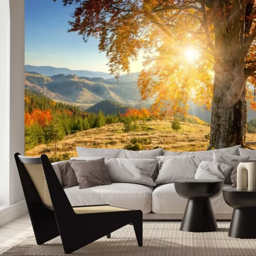 Fotobehang Ochtendherfstlandschap in de bergen