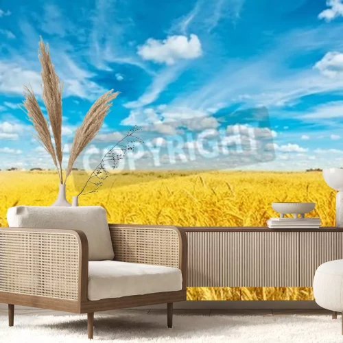 Fotobehang Lucht boven een zonnig veld