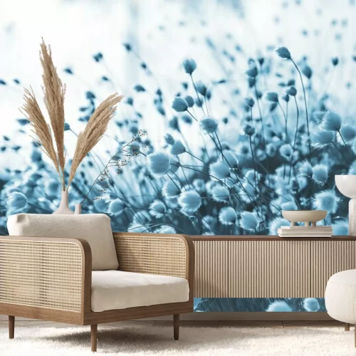 Fotobehang Wolgras in koele tinten