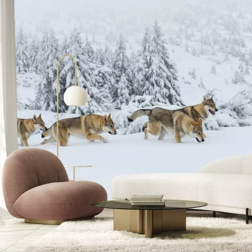 Fotobehang Roedel poolwolven in de sneeuw