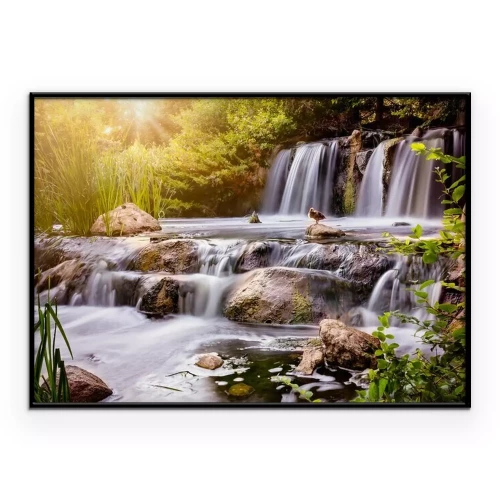 Poster Een groep eenden glijdt over een waterval.