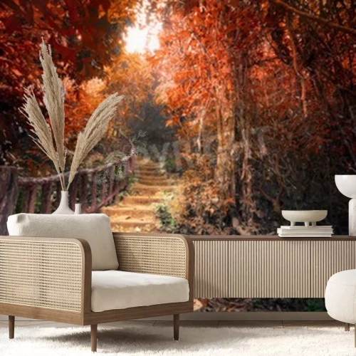 Fotobehang Rode bomen in de herfst