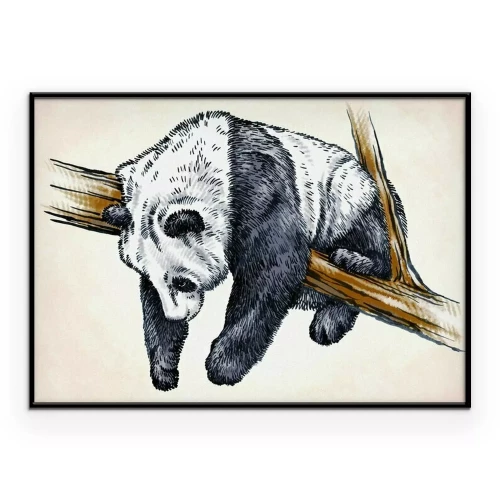 Poster Slapende panda op een tak