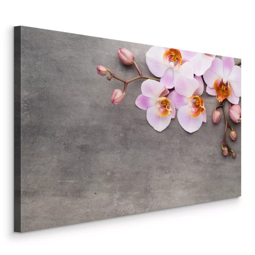 Canvas Roze orchideeën op grijs beton