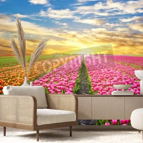 Fotobehang Zonsopgang boven een veld met tulpen