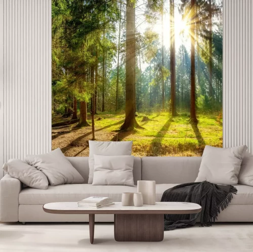 Fotobehang Hoge bomen in de zon