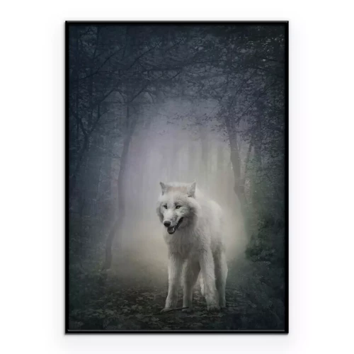 Poster Een witte wolf op een pad in een donker bos.